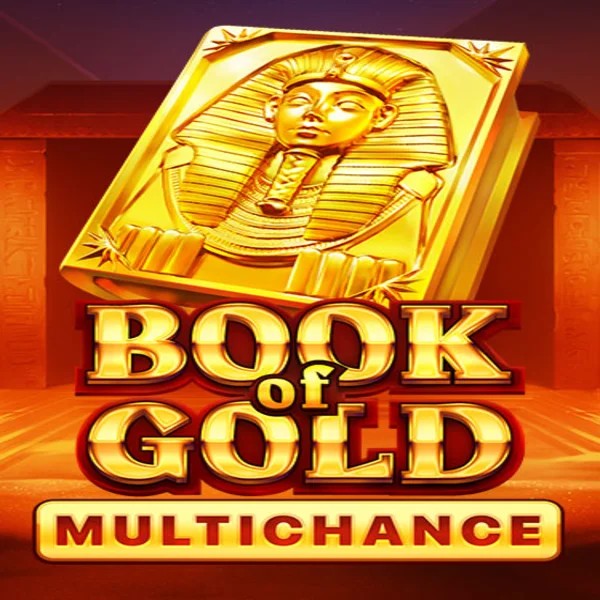 Book of Gold Multichance by Playson, showcased at spinsteincasinoo.com – game logo